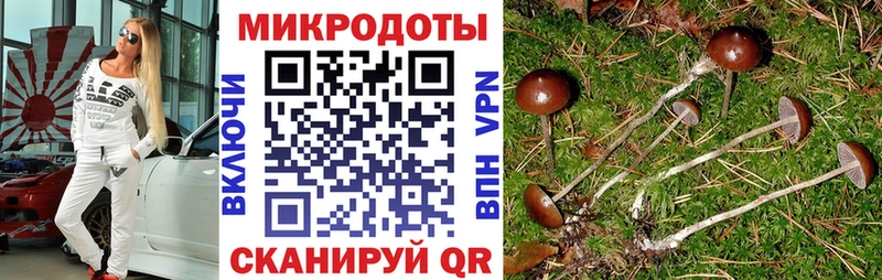 kraken tor  Лахденпохья  Галлюциногенные грибы Magic Shrooms 