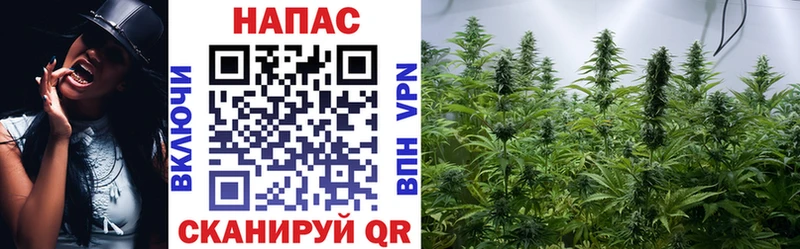 Канабис Bruce Banner Лахденпохья